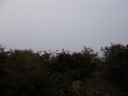 画像 035.jpg